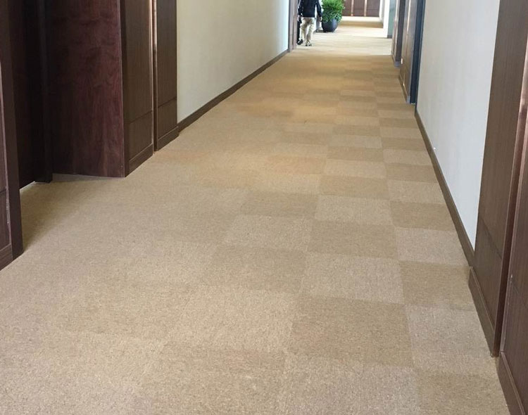 Thảm Tấm Tuntex T1201