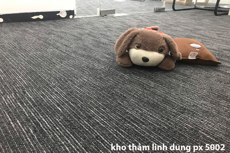 Suminoe Ecos PX 5002