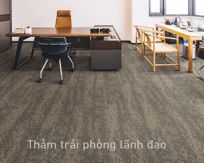 Thảm trải phòng lãnh đạo, thảm tấm NF21